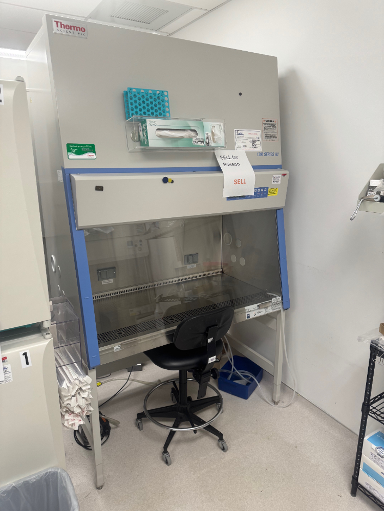 Image of Thermo 1300 Series A2 4' BioSafety Cabinet